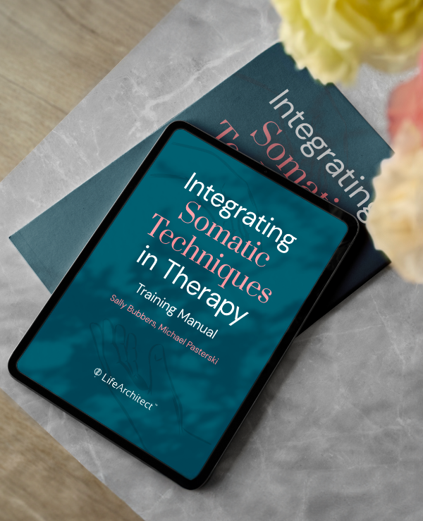 la-3mcs-ebook-cover-mockup_1-3