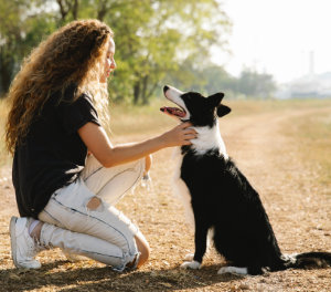 befriending_difficult_protectors_dog_recording