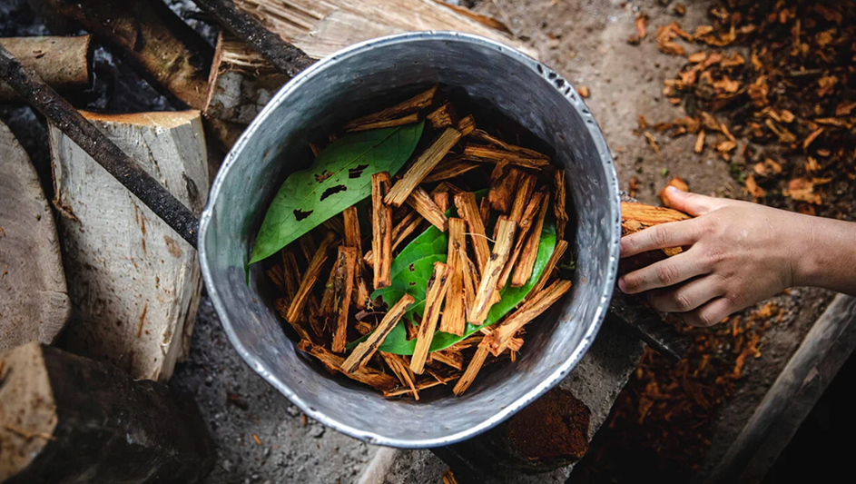 sacred-pathways-retreat-in-brazil-6
