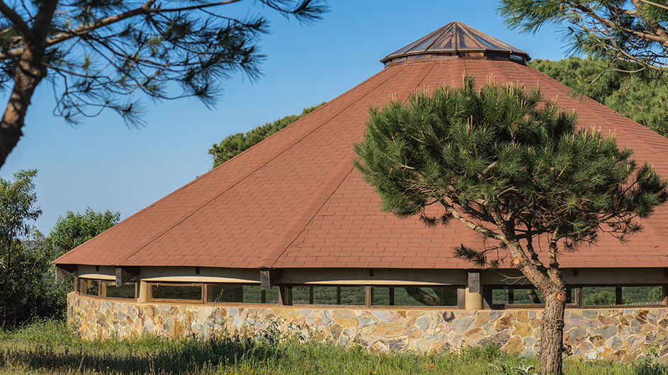 somatic-parts-work-retreat-in-portugal:10