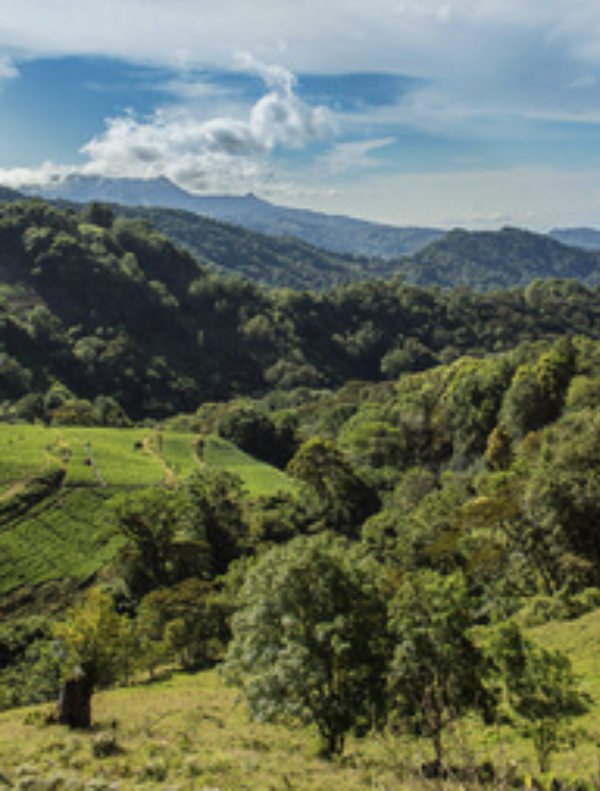 somatic-parts-work-retreat-in-portugal:27