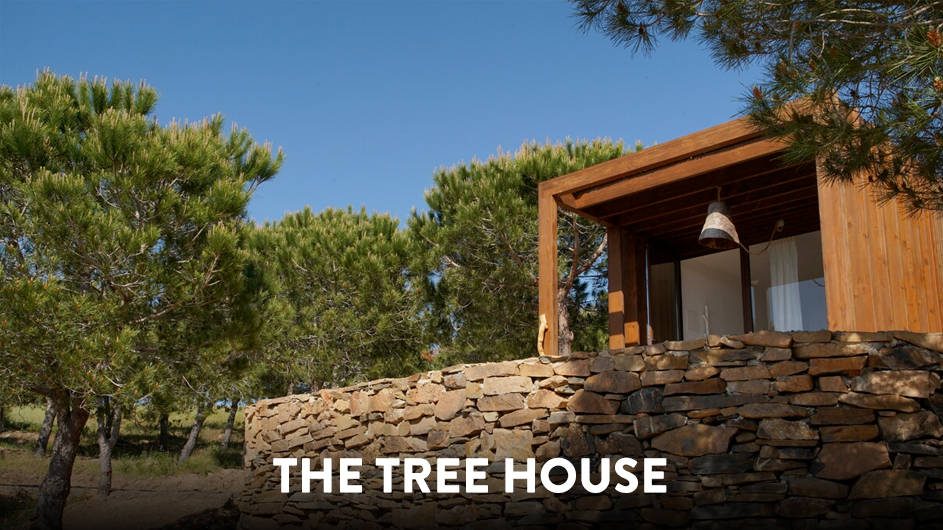 somatic-parts-work-retreat-in-portugal:40