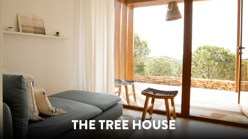 somatic-parts-work-retreat-in-portugal:41