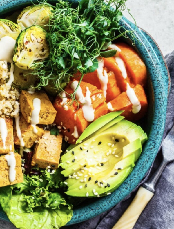 somatic-parts-work-retreat-in-portugal:5