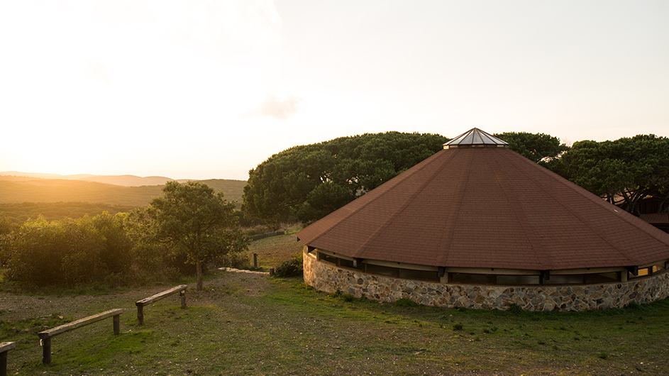 somatic-parts-work-retreat-in-portugal:60