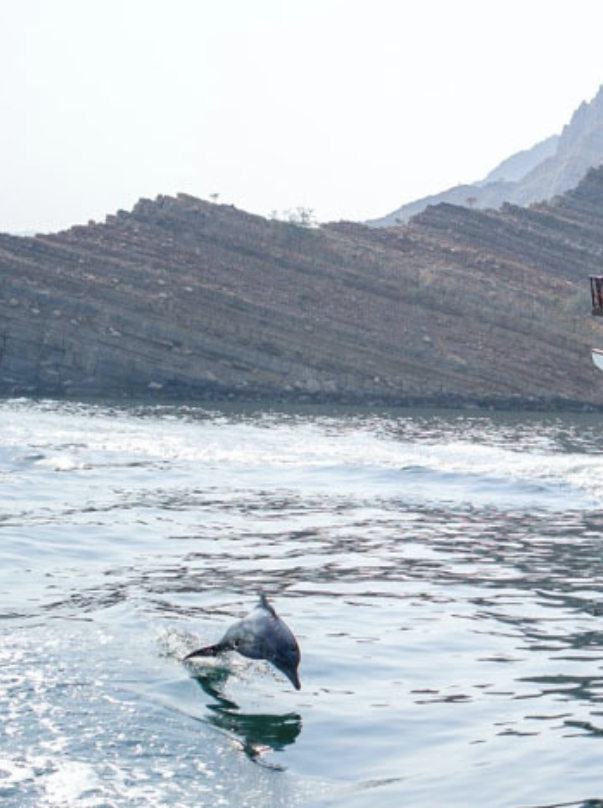 somatic-parts-work-retreat-in-portugal:79