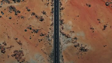 Lost in Translation: Trauma Healing Body Language 3